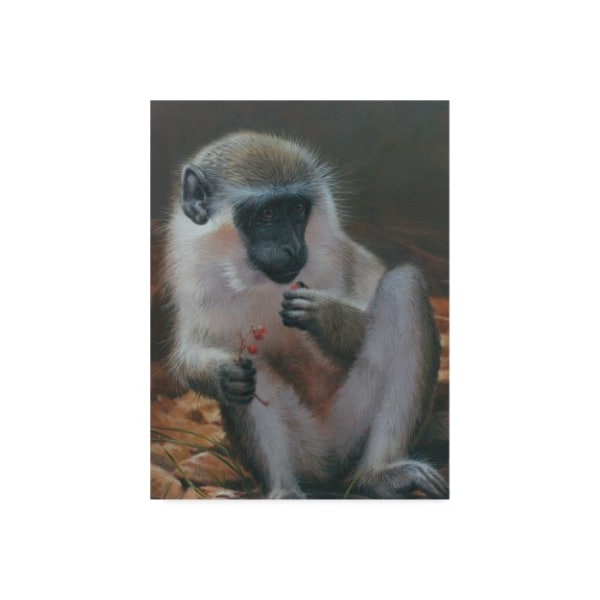 Trademark Fine Art Michael Jackson 'White Monkey 1' Canvas Art